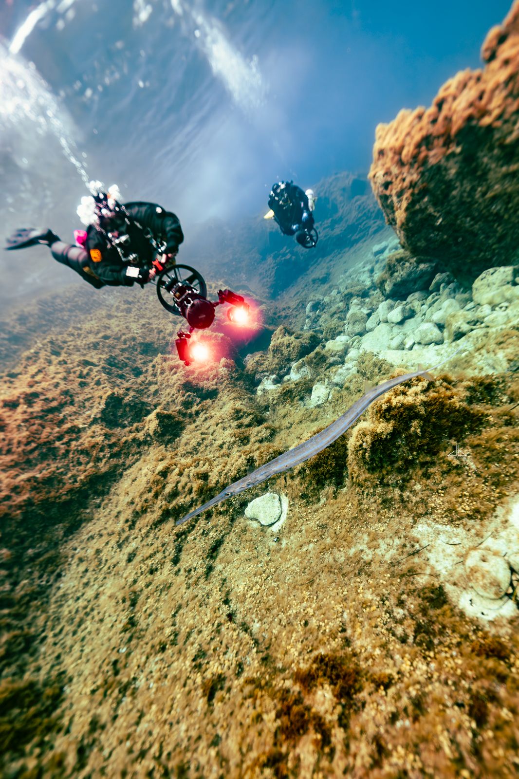 Computer Nitrox Diver